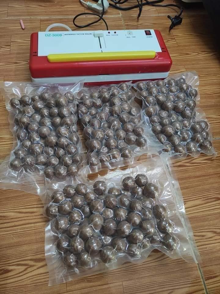 Máy hút chân không gia đình DZ300B – bảo quản thực phẩm tiện lợi tại Kim Chí Bảo