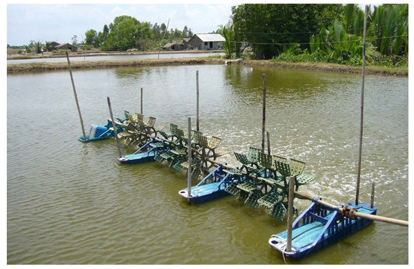 Những loại máy tạo oxy tốt nhất cho ao hồ nuôi trồng thủy hải sản