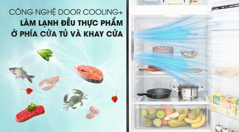 tủ lạnh LG D602BL